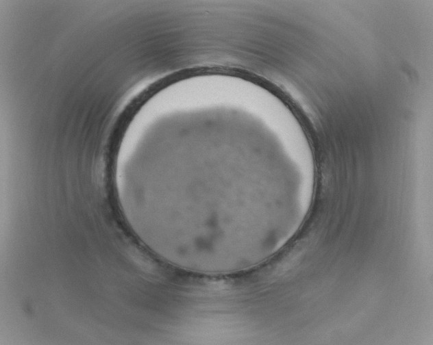 X0000115030975200911231109