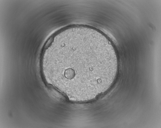 X0000115030976200911231109