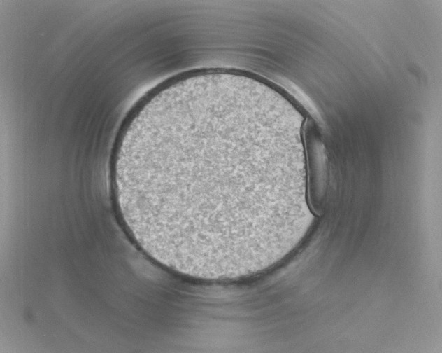 X0000115030980200911231109