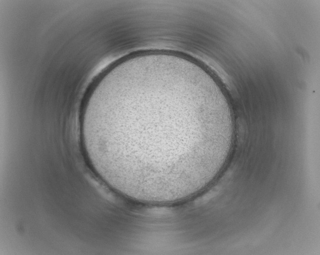 X0000115030982200911231109