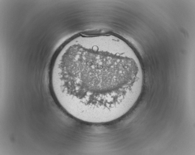 X0000115030983200911231109