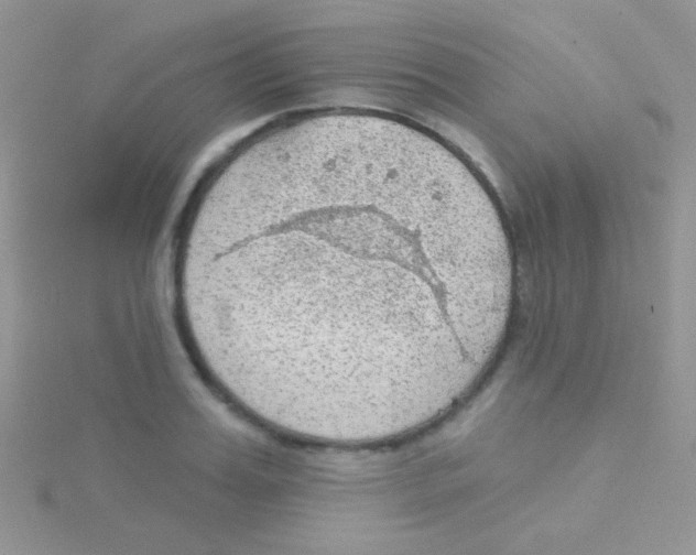 X0000115030987200911231109