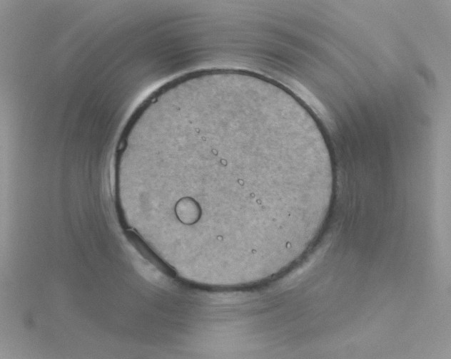 X0000115030988200911231109