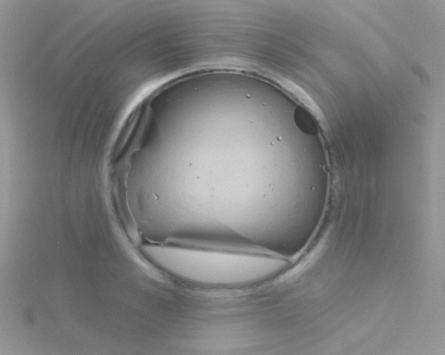 X0000115030989200911231109