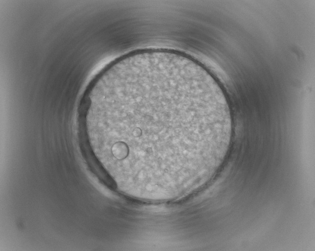 X0000115030990200911231109