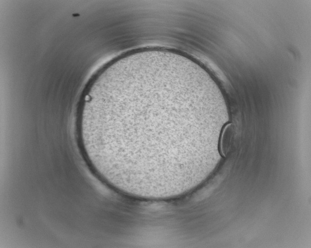 X0000115030991200911231109