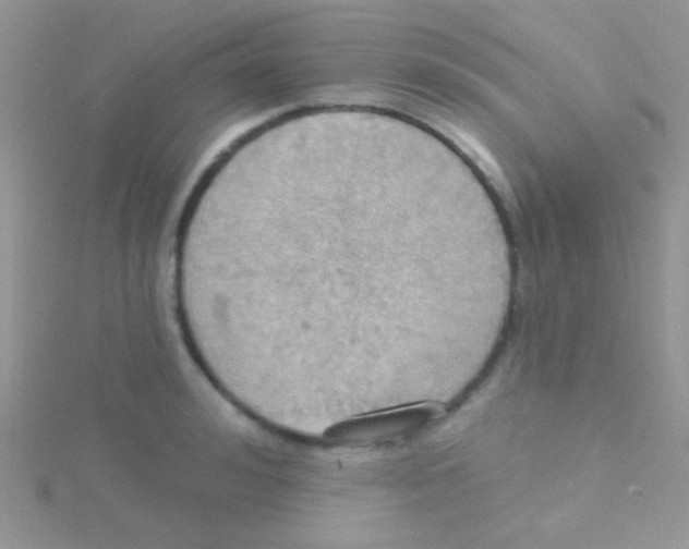 X0000115030992200911231109