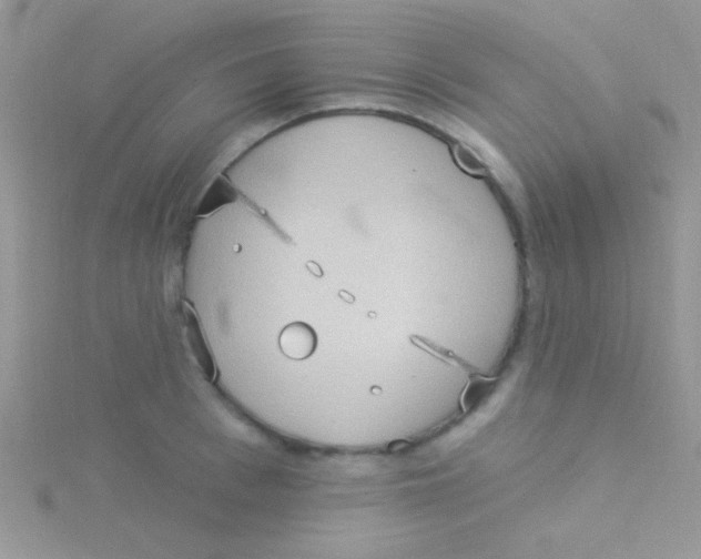 X0000115030993200911231109