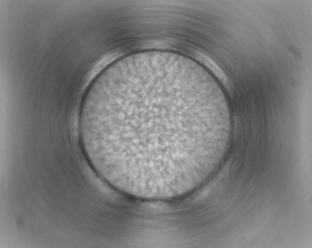 X0000115030994200911231109