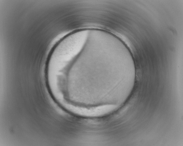 X0000115030995200911231109