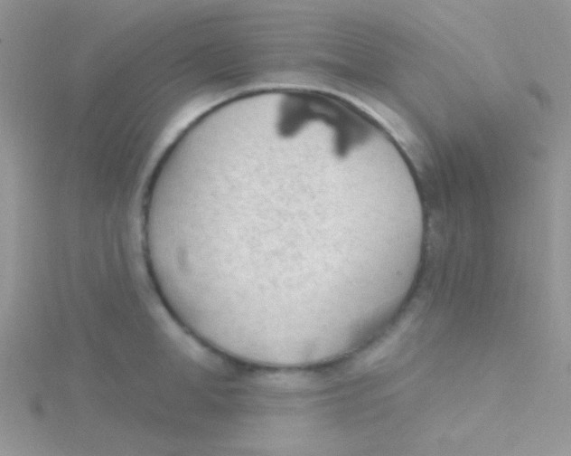 X0000115030998200911231109