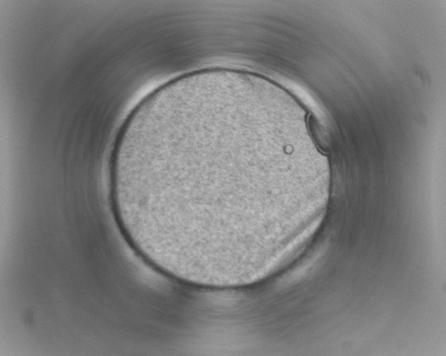 X0000115030999200911231109