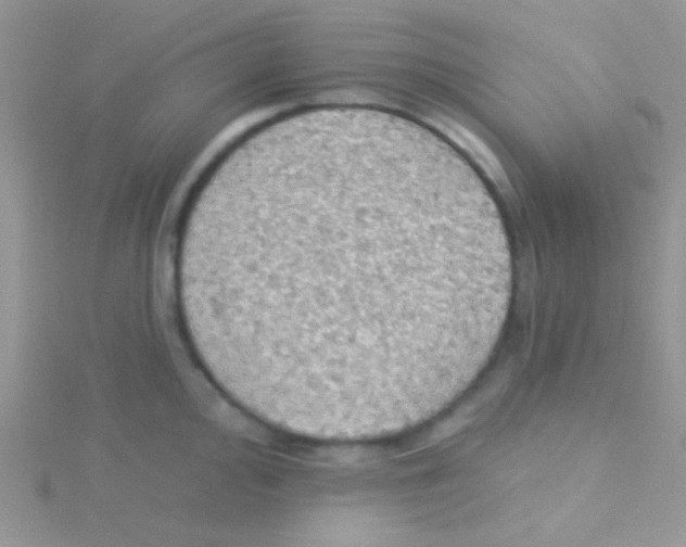 X0000115031000200911231109