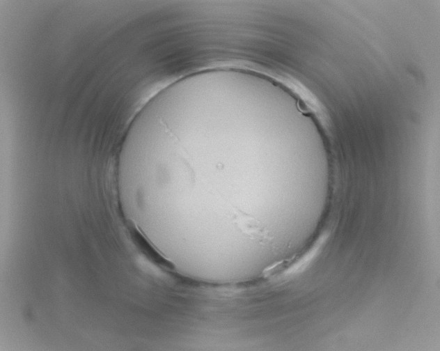 X0000115031001200911231109