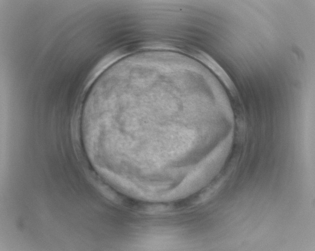 X0000115031002200911231108