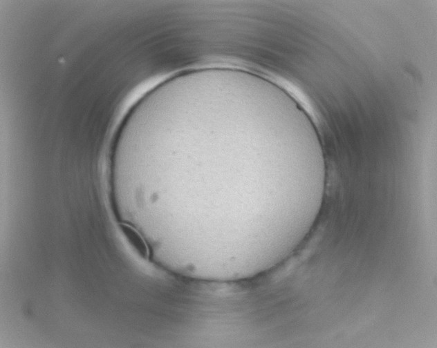 X0000115031003200911231108