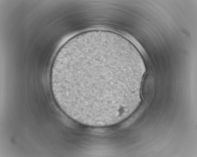 X0000115031004200911231108