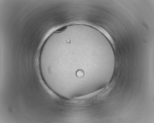 X0000115031005200911231108