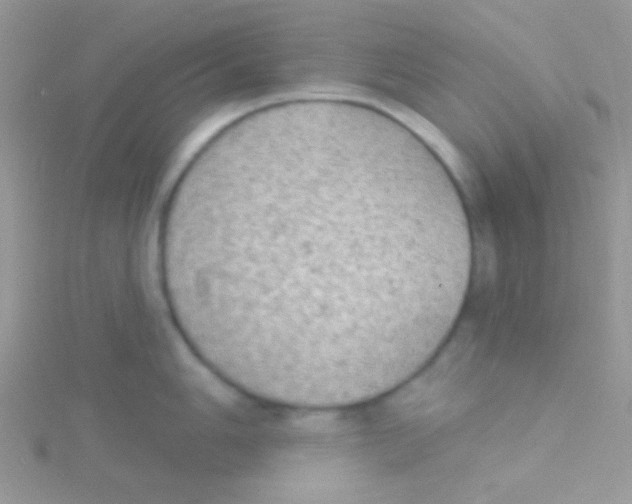 X0000115031006200911231108