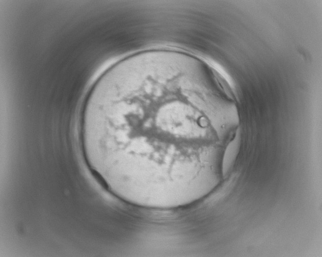 X0000115031007200911231108