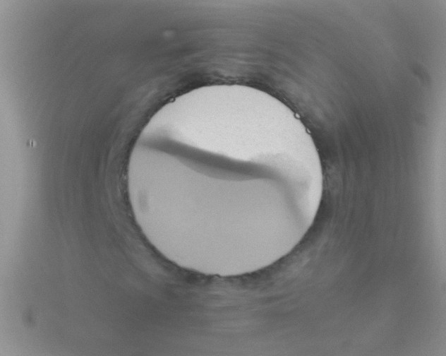 X0000115031009200911231108