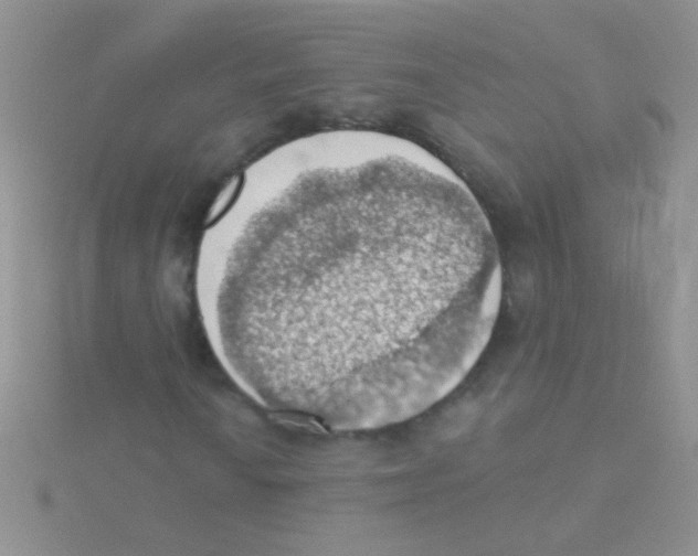 X0000115031010200911231108