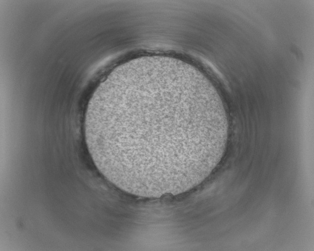 X0000115031016200911231108