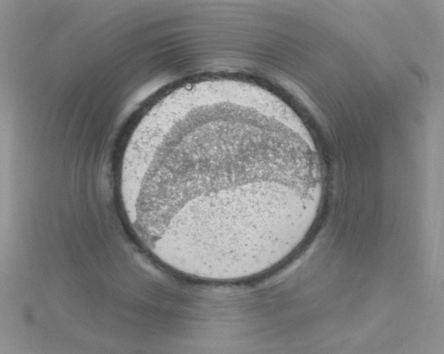 X0000115031018200911231108