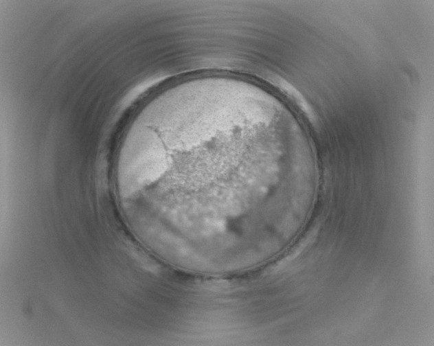 X0000115031019200911231108