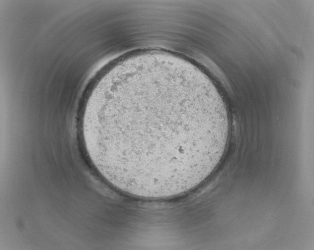 X0000115031020200911231108