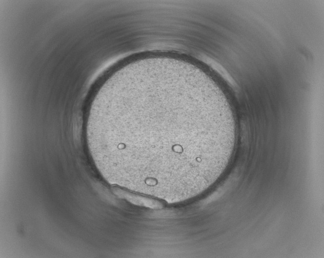 X0000115031021200911231108