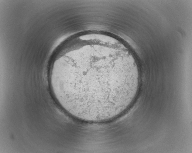 X0000115031022200911231108