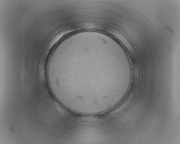 X0000115031023200911231108