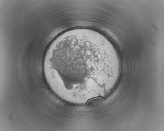 X0000115031025200911231108