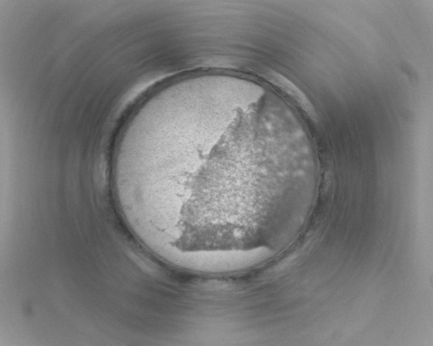 X0000115031027200911231108