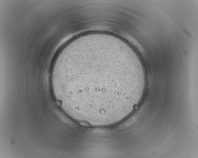 X0000115031029200911231108