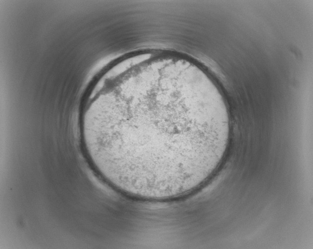 X0000115031030200911231108