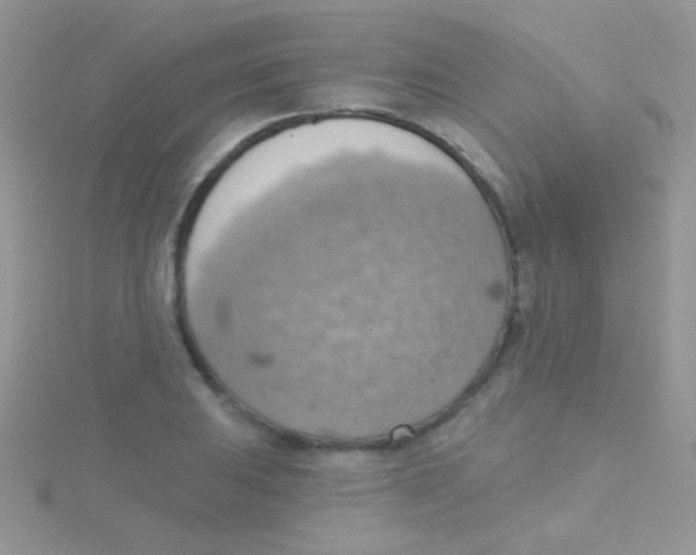 X0000115031031200911231108