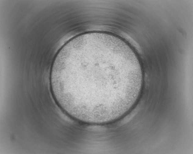 X0000115031033200911231108