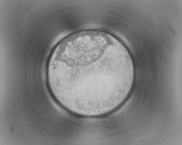 X0000115031034200911231108