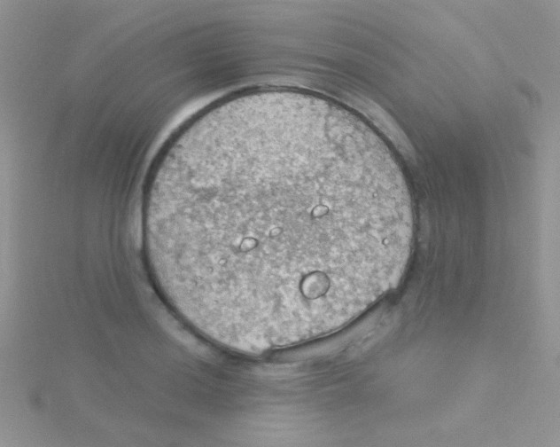 X0000115031036200911231108