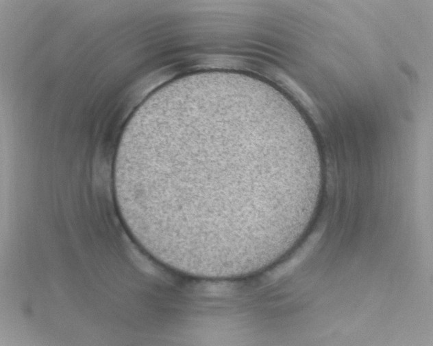 X0000115031041200911231108