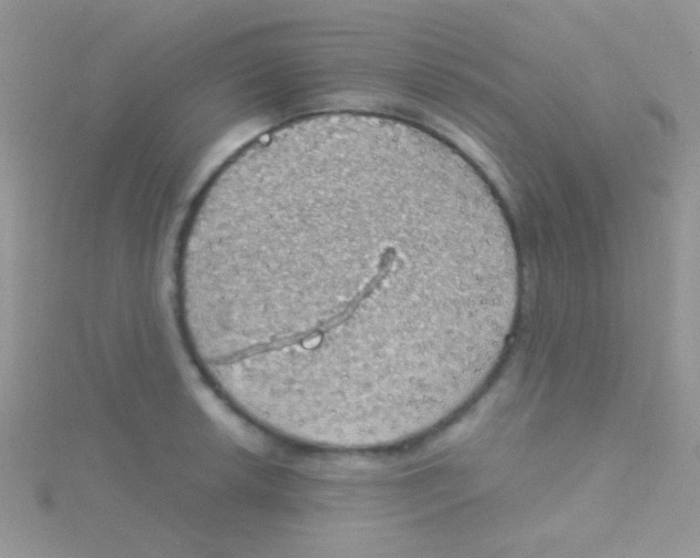 X0000115031042200911231108