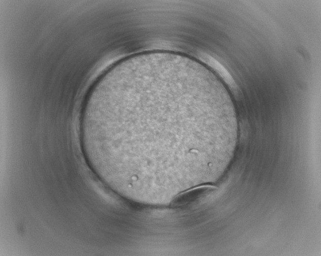 X0000115031043200911231108