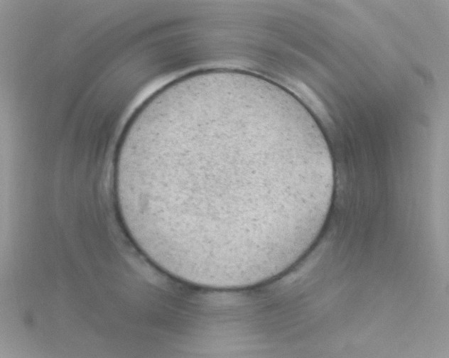 X0000115031044200911231108