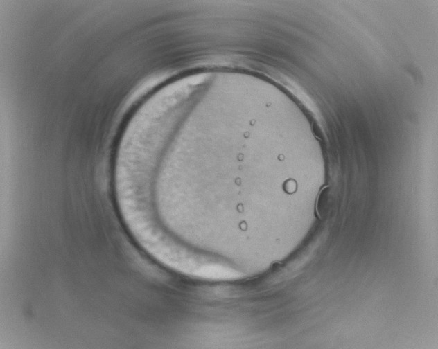 X0000115031045200911231108