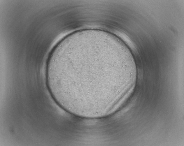 X0000115031046200911231108