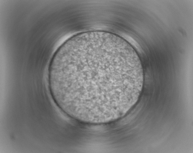 X0000115031047200911231108