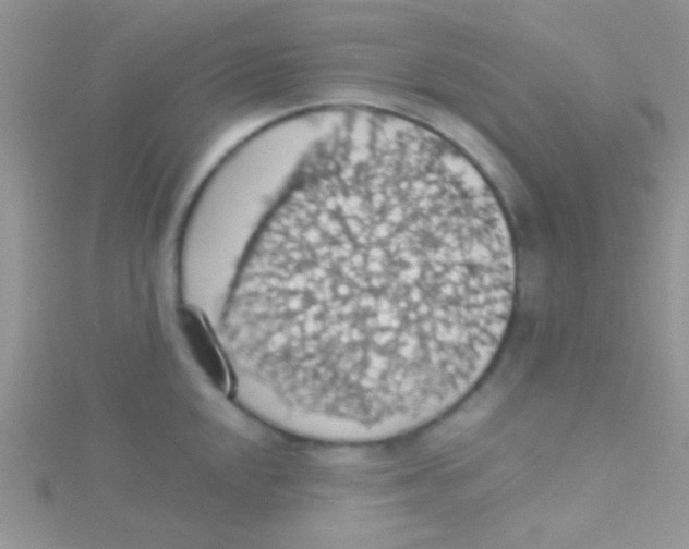 X0000115031048200911231108