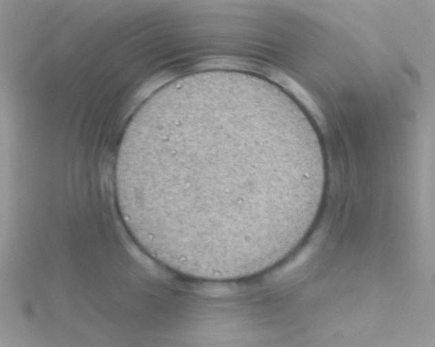 X0000115031049200911231108